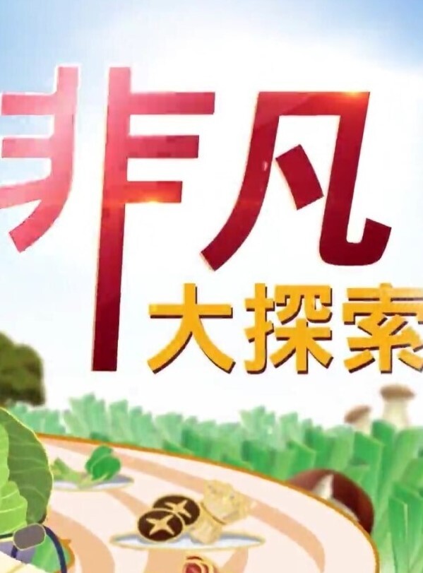 酒店偷拍 老王中午约炮单位少妇女同事跪舔鸡巴站着插几下热身各种姿势草 - 银色导航